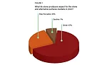 Figure 1: Stone and alternative surfaces