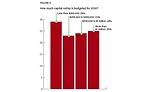 Figure 5: Capital outlay budget for 2020