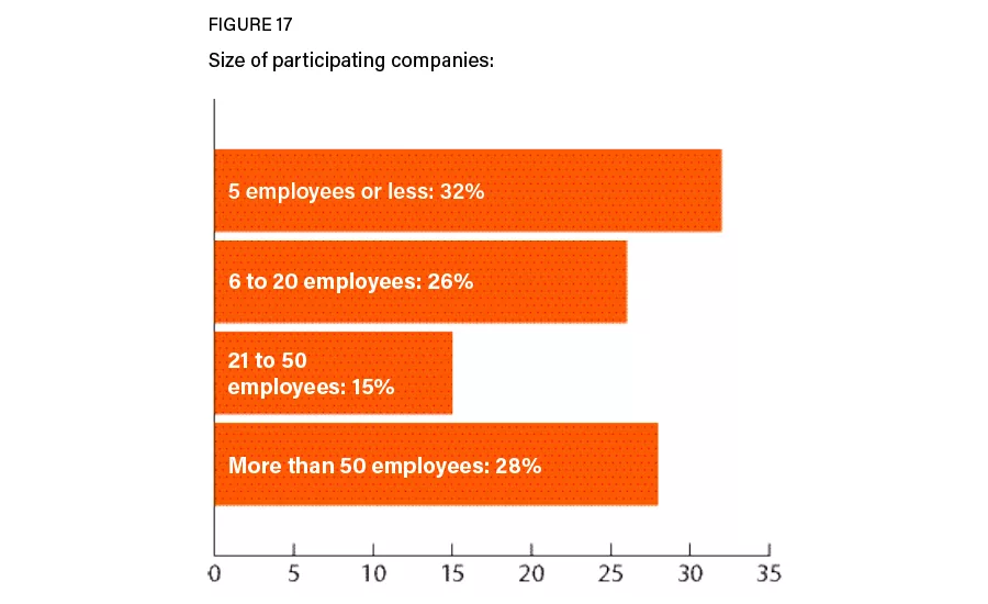 Figure 17: Company sizes