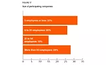 Figure 17: Company sizes