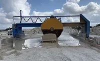 Wilson Industrial Heavy Duty Plunge Cut Saw 