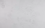 SW 1021 One-on-One with Vadara Quartz Solanobella Slab