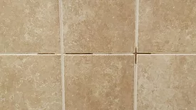 Water-darkened grout on shower wall