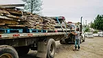 SW0522 Web Exclusive Stoneloads 03
