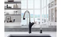 The Blanco Artona kitchen faucet 2016 DPHA honorable mention