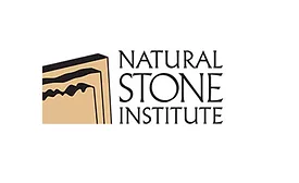 NSI logo