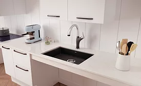 Blanco Sink