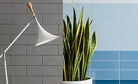 Walker-Zanger-Architek.jpg Walker-Zanger-Architek