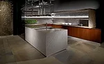 Antolini-Jurassic-Install