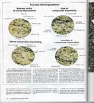 Jan 1994 - 4
