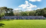 cosentino 1