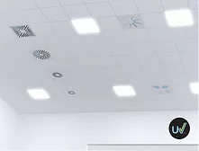 lights