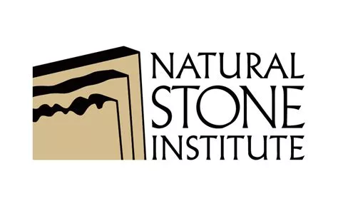 nsi