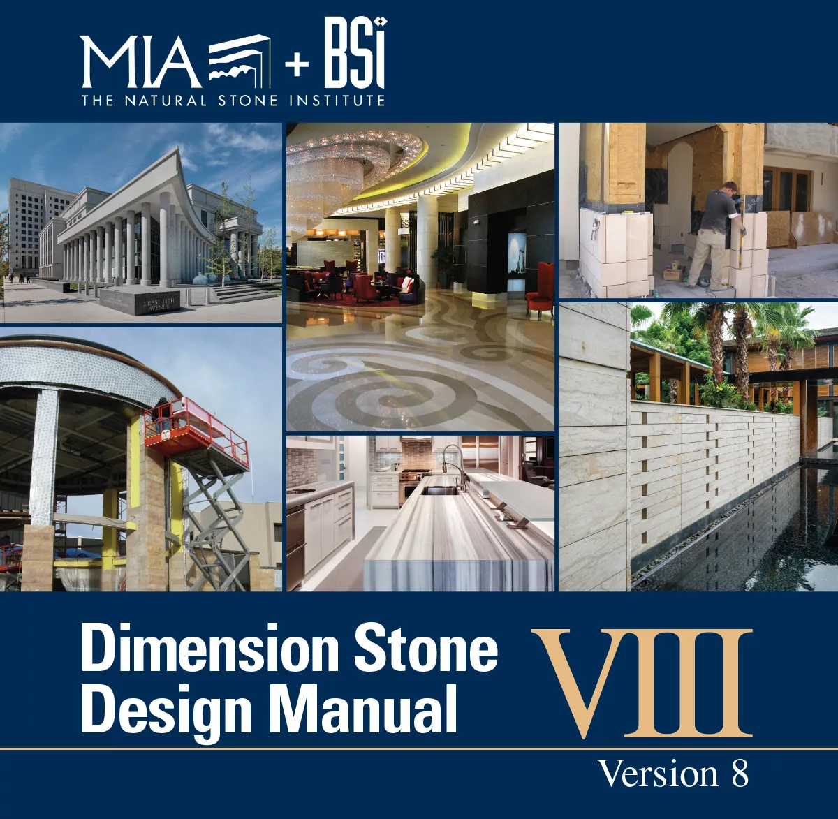Dsdm 8 mia bsi newest cover