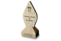 Pinnacle Award of Excellence.